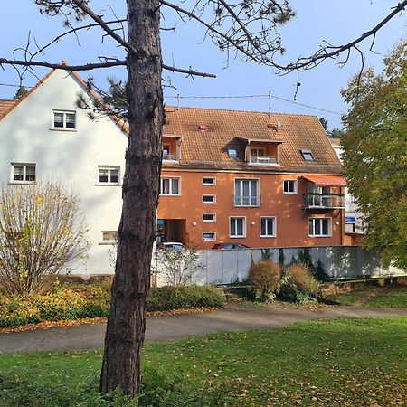 Meubles Du 25 N3 Studio 1Er Etage Niederbronn-les-Bains Luaran gambar